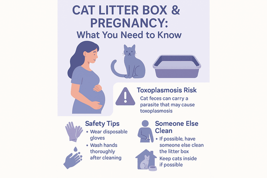 Cat Litter Box & Pregnancy: Safe Habits for Expecting Cat Owners