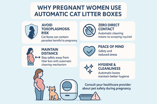 The Best Cat Litter Box for Pregnant Women: Stay Safe and Stress-Free
